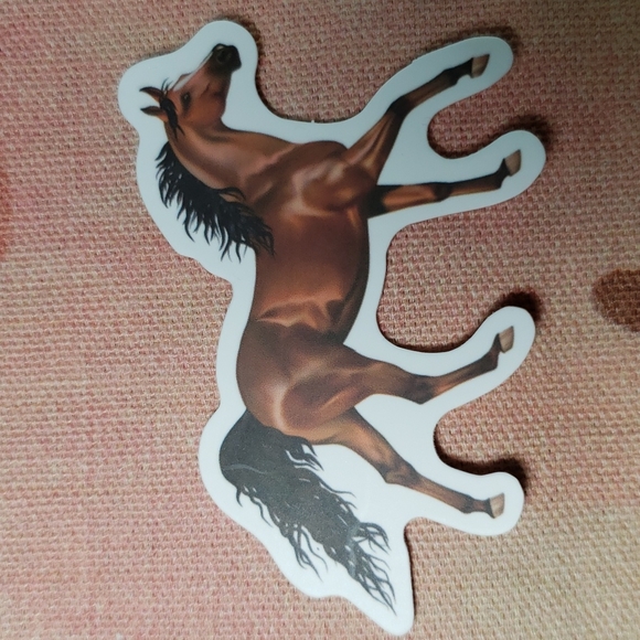 (A) Horse Sticker Pony Sticker Horse Ranch Horse Farm Country Cowgirl Horse Girl - Picture 1 of 4
